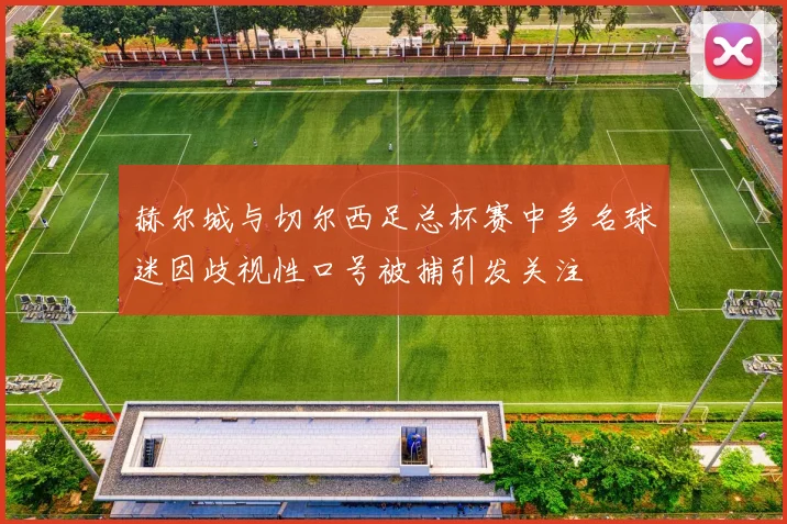 赫尔城与切尔西足总杯赛中多名球迷因歧视性口号被捕引发关注