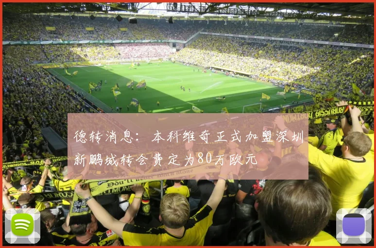 德转消息：本科维奇正式加盟深圳新鹏城转会费定为80万欧元