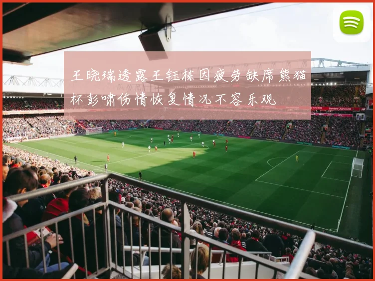 王晓瑞透露王钰栋因疲劳缺席熊猫杯彭啸伤情恢复情况不容乐观