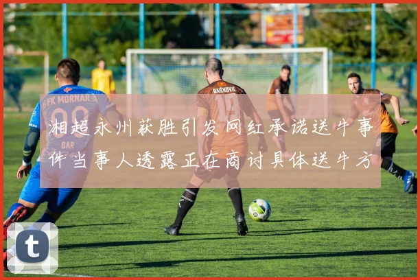 湘超永州获胜引发网红承诺送牛事件当事人透露正在商讨具体送牛方案